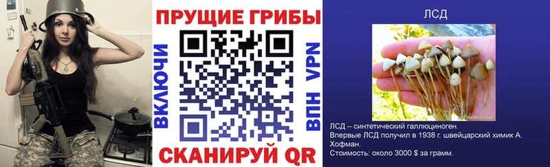 Галлюциногенные грибы Psilocybe  где продают наркотики  кракен ТОР  Тосно 